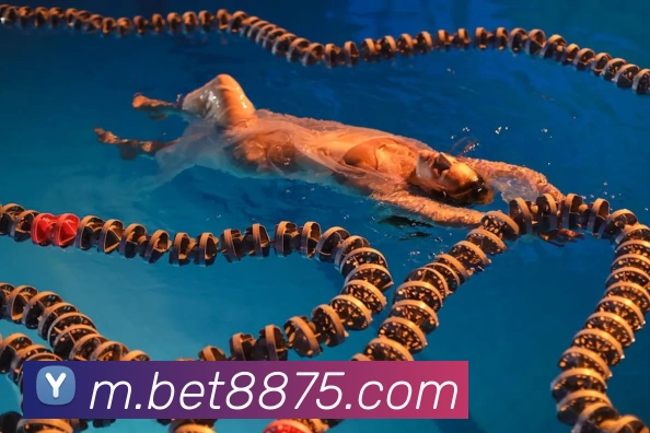 bet365com服务体系